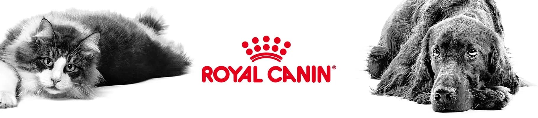 RC