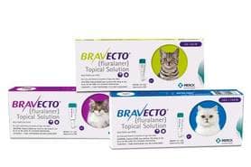 bravecto-for-cats