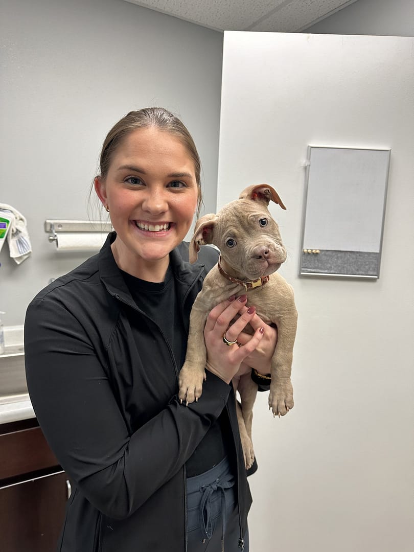 Our Team Atlantic Animal Health Center