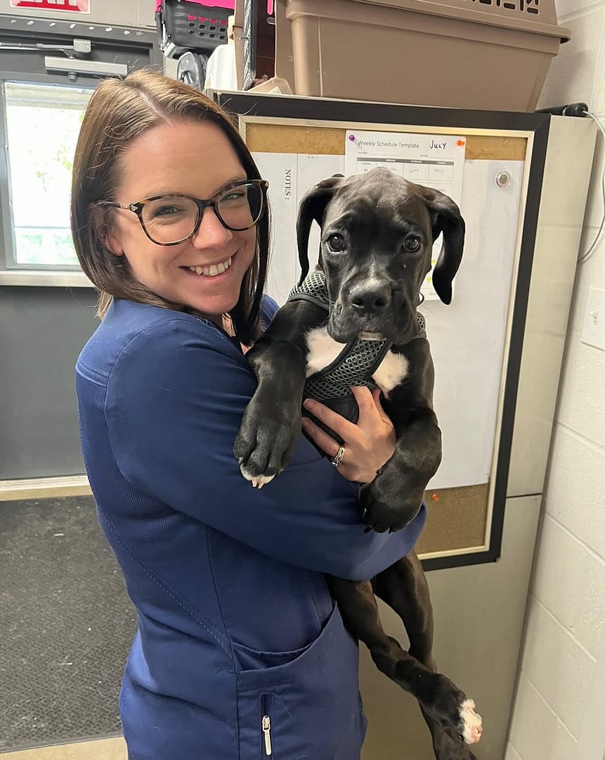 Our Team Atlantic Animal Health Center