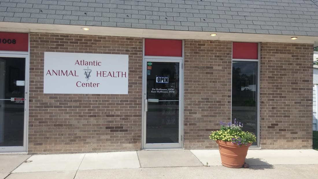 Tour Our Facility Atlantic Animal Health Center
